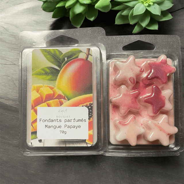 Tablette de 6 fondants parfumés 70g